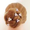 Crystal dance hair clip